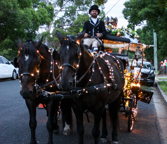Experience Christmas Lights a bit different with Cinderella Arrivals